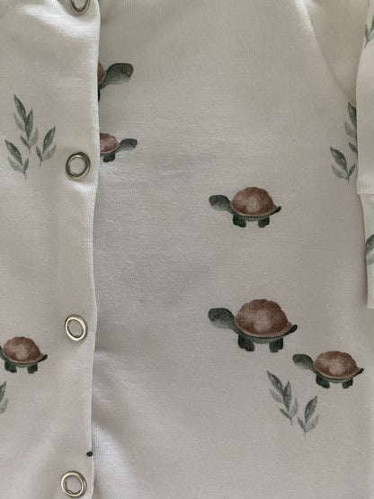 Boxpakje Schildpadjes