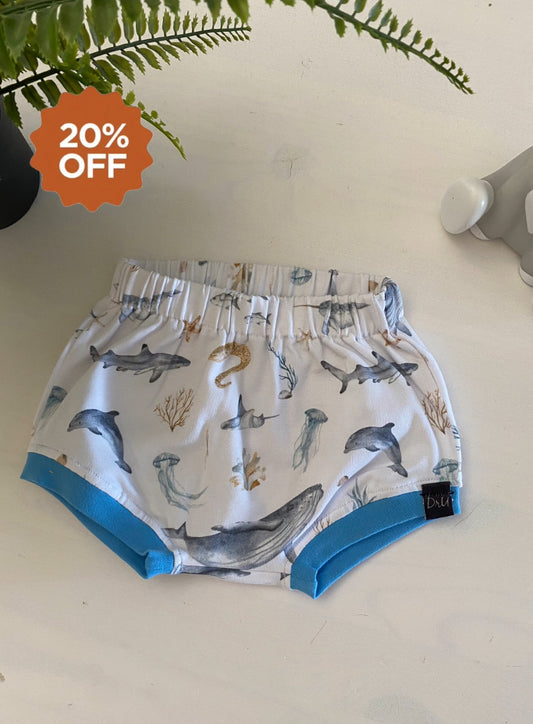 Bloomer zeedieren (Sale)