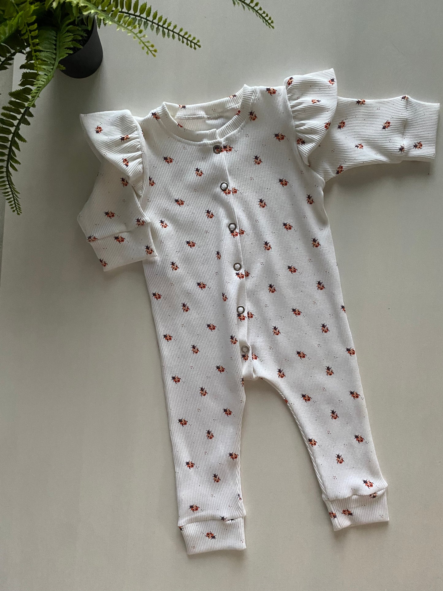 Ruffle boxpakje Lieveheersbeestjes